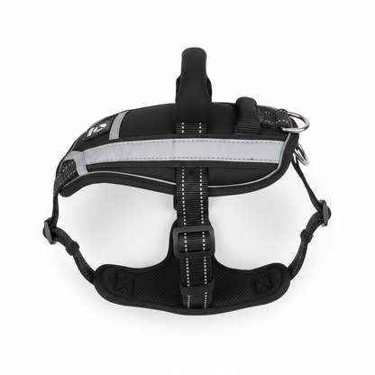Harness yaqindan ko'rinish